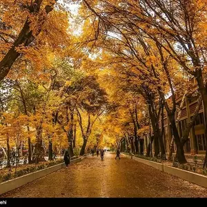 خیابان چهارباغ عباسی