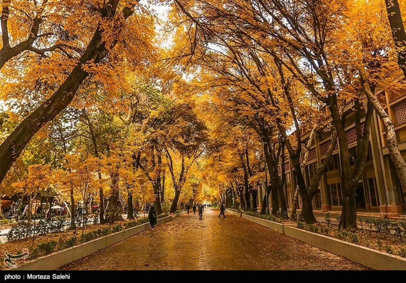 عکس خیابان چهارباغ عباسی
