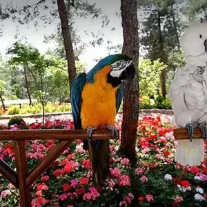 باغ پرندگان مشهد