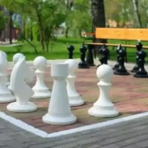 پارک شطرنج
