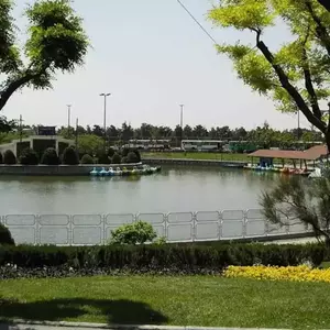 پارک المهدی