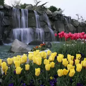 بوستان گل ها مشهد