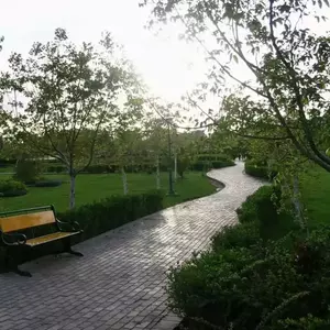 باغ اناری/ پارک پلیس