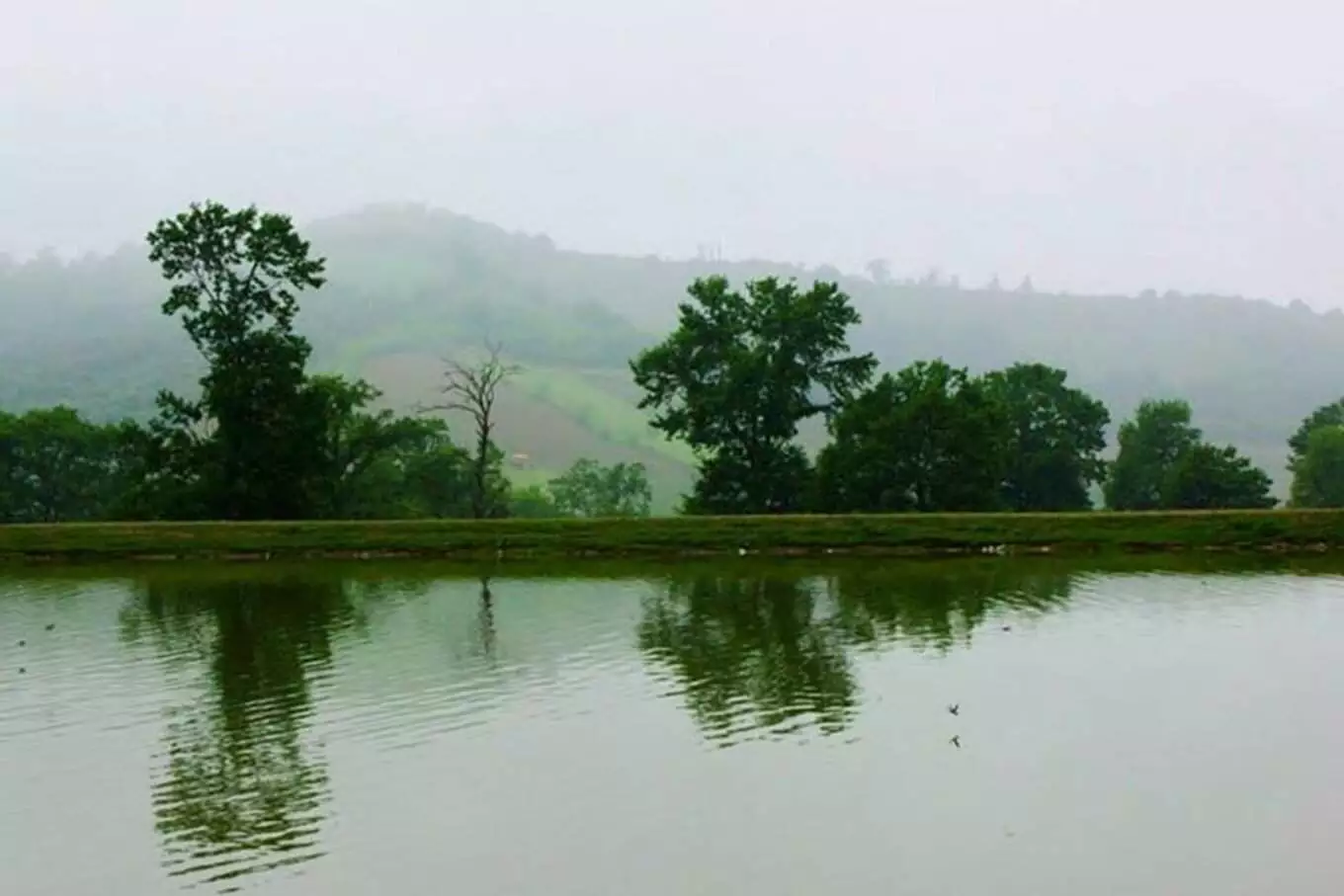 عکس دریاچه توشن