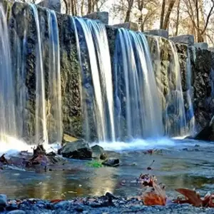 پارک جنگلی وکیل آباد مشهد