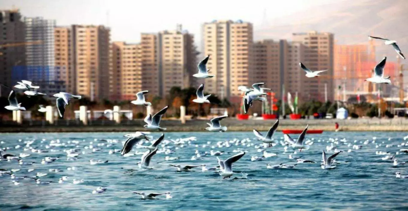عکس دریاچه چیتگر/ خلیج فارس
